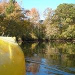 Paddling in the Stop River Confluence of the Charles River