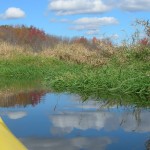 Paddling on the Bellingham Meadows