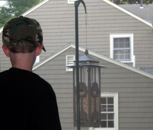 birdfeeder1-300x254